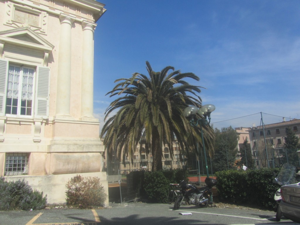 	Library, Villa Cambiaso, Engineering Faculty, Genoa University		