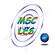 Modeling & Simulation Center - Laboratory of Enterprise Solutions,  MSC-LES, Dipartimento di Meccanica e Gestionale DIMEG, Universita' della Calabria